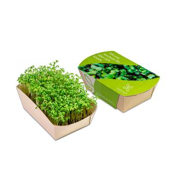 Mini giardino in scatola promozionale